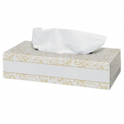 Facial Tissues 21x22cm (100 stuks) Facial Tissues 21x22cm (100 stuks)