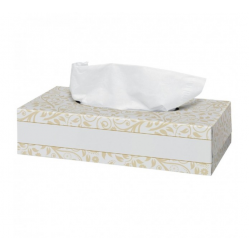 Facial Tissues 21x22cm (100 stuks)