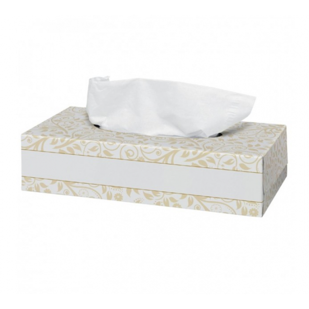 Facial Tissues 21x22cm (100 stuks) Facial Tissues 21x22cm (100 stuks)