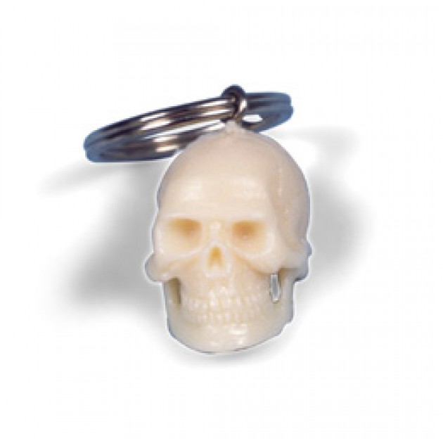 Sleutelhanger Anatomisch Model